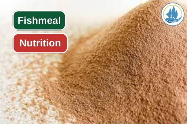8 Essential Nutrition Content in Fishmeal 